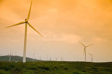 《数码宝贝》线上活动“DIGIMON CON” 将于2022年2月27日举行